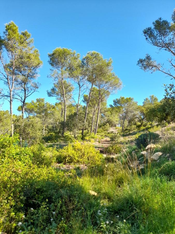 Studio Du Roc Des Garrigues Langlade 外观 照片